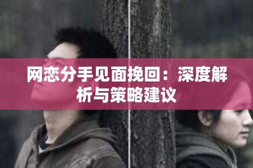 网恋分手见面挽回：深度解析与策略建议