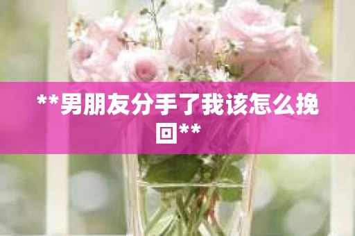 **男朋友分手了我该怎么挽回**