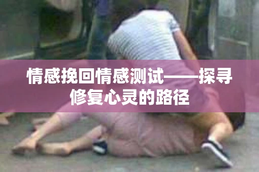 情感挽回情感测试——探寻修复心灵的路径