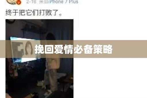 挽回爱情必备策略