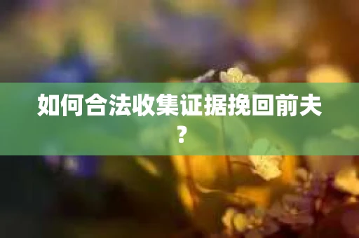 如何合法收集证据挽回前夫? 如何合法收集证据挽回前夫?