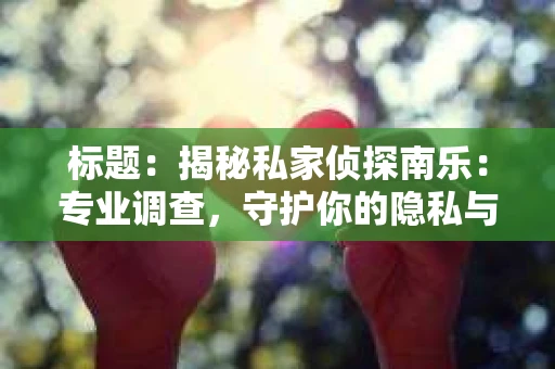 标题：揭秘私家侦探南乐：专业调查，守护你的隐私与权益