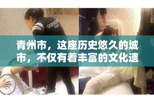青州市，这座历史悠久的城市，不仅有着丰富的文化遗产，也有着现代生活的便捷。那么，问题来了——青州市有私家侦探公司吗？这个问题，对于需要侦探服务的人来说，无疑至关重要。接下来，我就来为大家揭开这个谜底。