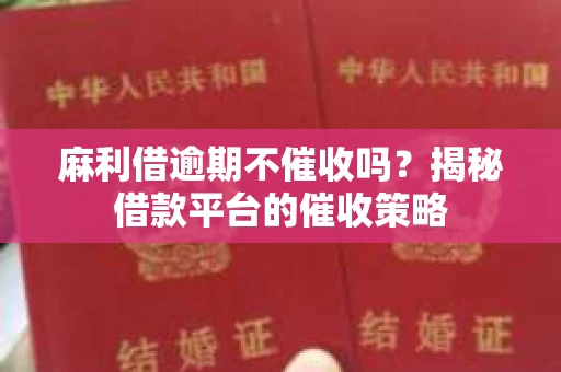 麻利借逾期不催收吗？揭秘借款平台的催收策略