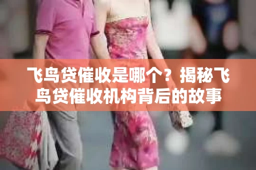 飞鸟贷催收是哪个？揭秘飞鸟贷催收机构背后的故事