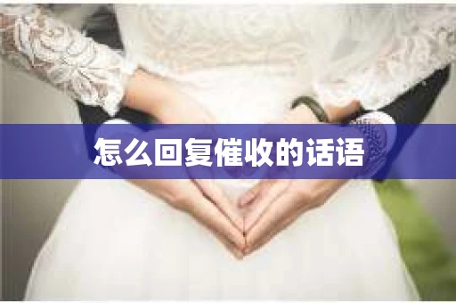 怎么回复催收的话语