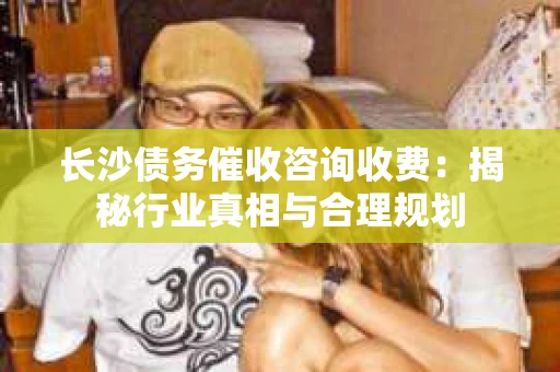 长沙债务催收咨询收费：揭秘行业真相与合理规划