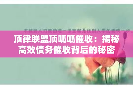 顶律联盟顶呱呱催收：揭秘高效债务催收背后的秘密
