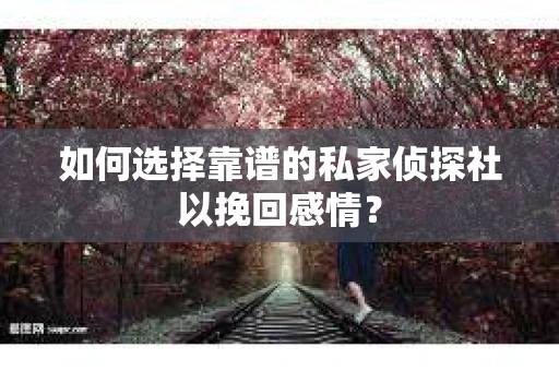 如何选择靠谱的私家侦探社以挽回感情？