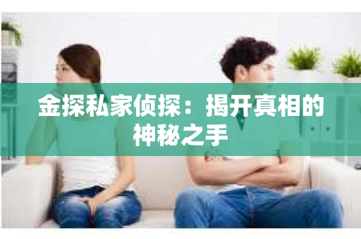 金探私家侦探：揭开真相的神秘之手