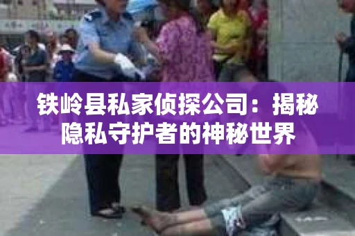 铁岭县私家侦探公司：揭秘隐私守护者的神秘世界