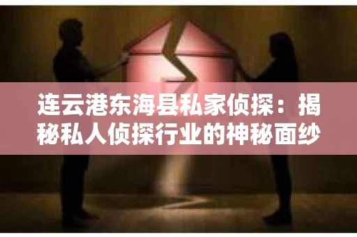 连云港东海县私家侦探：揭秘私人侦探行业的神秘面纱