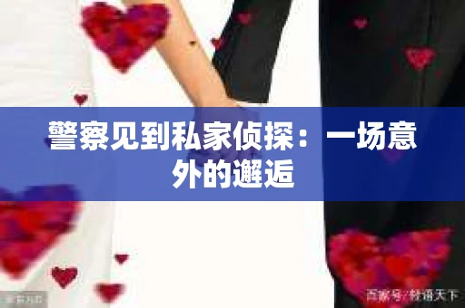 警察见到私家侦探：一场意外的邂逅