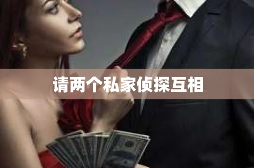 请两个私家侦探互相