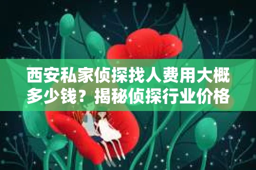 西安私家侦探找人费用大概多少钱？揭秘侦探行业价格之谜