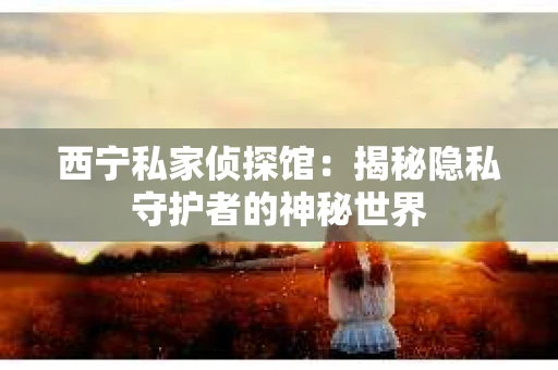 西宁私家侦探馆：揭秘隐私守护者的神秘世界