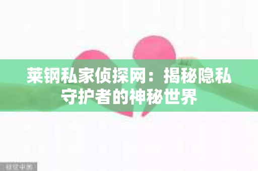 莱钢私家侦探网:揭秘隐私守护者的神秘世界 莱钢私家侦探网:揭秘隐私守护者的神秘世界
