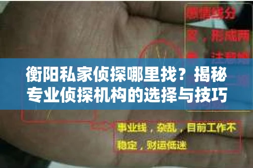 衡阳私家侦探哪里找？揭秘专业侦探机构的选择与技巧