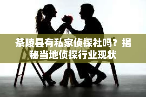 茶陵县有私家侦探社吗？揭秘当地侦探行业现状