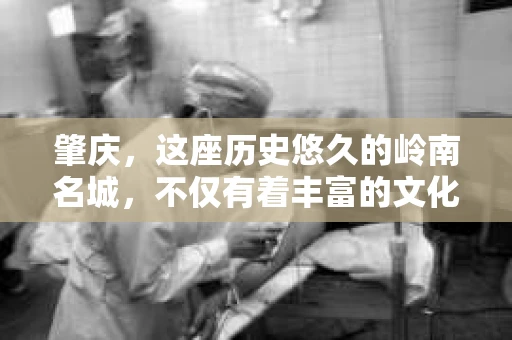 肇庆，这座历史悠久的岭南名城，不仅有着丰富的文化遗产，还有着独特的现代生活节奏。在这个城市里，你是否曾有过需要帮助解决一些棘手问题的时候？或许，你听说过肇庆有私家侦探，那么，他们究竟是怎样的存在呢？
