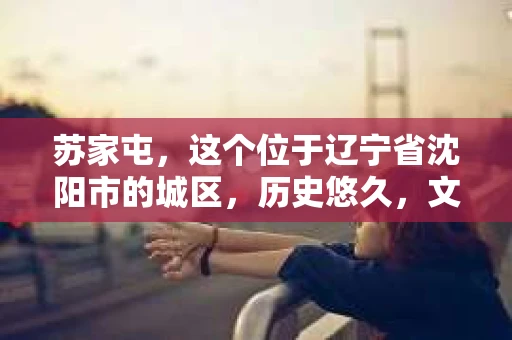 苏家屯，这个位于辽宁省沈阳市的城区，历史悠久，文化底蕴深厚。近年来，随着社会的发展，人们对于私家侦探的需求也逐渐增加。那么，苏家屯有私家侦探吗？今天，我们就来聊聊这个话题。