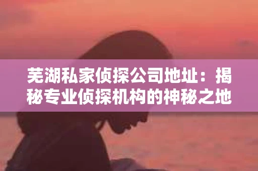 芜湖私家侦探公司地址：揭秘专业侦探机构的神秘之地