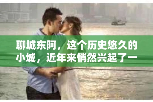 聊城东阿，这个历史悠久的小城，近年来悄然兴起了一股新的服务潮流——私家侦探。今天，我们就来聊聊这个话题，看看在聊城东阿，私家侦探是如何成为人们生活中的一部分的。