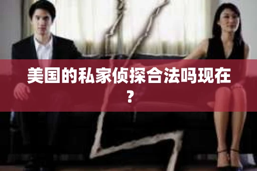 美国的私家侦探合法吗现在？