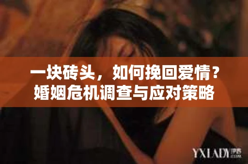 一块砖头，如何挽回爱情？婚姻危机调查与应对策略