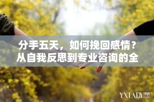 分手五天，如何挽回感情？从自我反思到专业咨询的全面解决方案