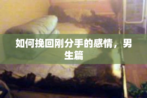 如何挽回刚分手的感情，男生篇