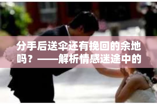 分手后送伞还有挽回的余地吗？——解析情感迷途中的决策