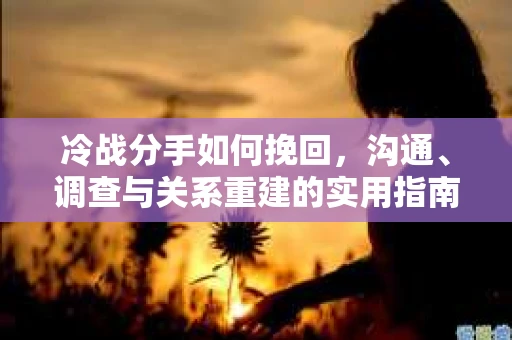 冷战分手如何挽回，沟通、调查与关系重建的实用指南