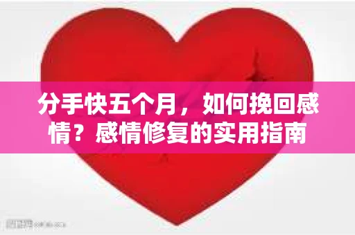 分手快五个月,如何挽回感情?感情修复的实用指南 分手快五个月,如何挽回感情?感情修复的实用指南