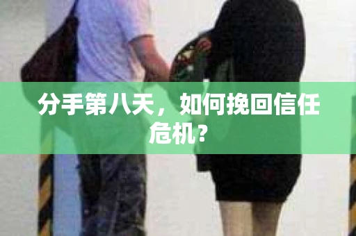 分手第八天，如何挽回信任危机？